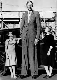 How tall is Robert Wadlow?